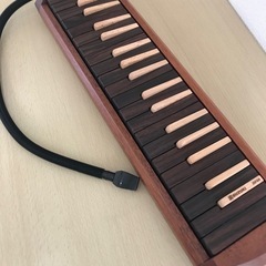 5月15日 鍵盤ハーモニカ(ピアニカ)体験個人レッスン