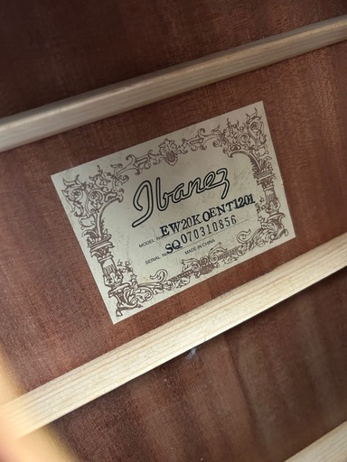 ibanez ew20koent1201 希少 エレアコ