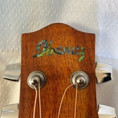 ibanez ew20koent1201 希少 エレアコの画像