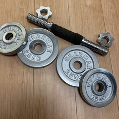 ダンベン10kg