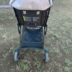 ピジョン　ビングルBB1 限定カラーの画像