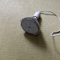 植物育成用LEDライト、観葉植物、水耕栽培に