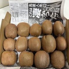 キウイ　グリーン　訳あり