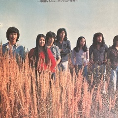 🎵ご覧の通り皆さん良くご存知の音楽、ザ、ピーナッツ、百恵ちやん、ペトロの皆さん。必要な方はお早めに。の画像