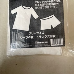 EMERGENCY 非常用 緊急用 防災用商品 使い捨て下着 Tシャツ×4枚トランクス 2枚入り 不織布製 フリーサイズ Fサイズ 旅行 出張 10袋セット の画像