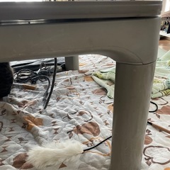 こたつの画像