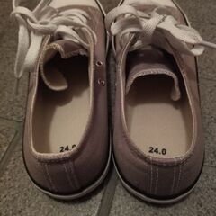キャンバススニーカー［24.0cm］の画像