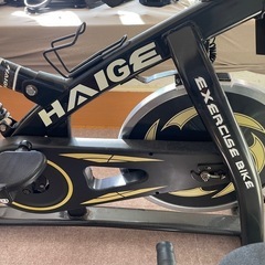 HAIGE スピンバイク　エアロバイクの画像