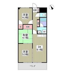 🉐フリーレント賃貸⭐️北坂戸駅⭐️外国人不可⭐️全部屋南向き日当...