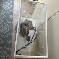 【問い合わせ中】45×20水槽 虫かごの画像