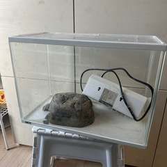 【問い合わせ中】45×20水槽 虫かご