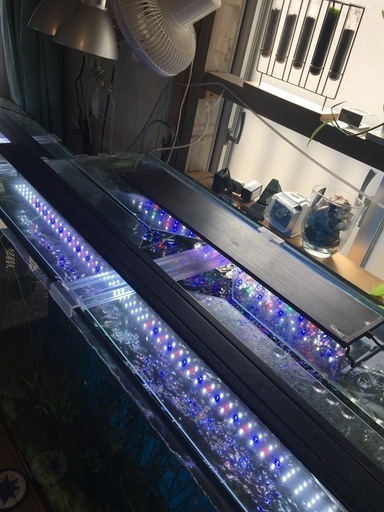 価格応談！水槽関連　ADA　90cm x高さ60cm.奥 45cm