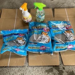 ハムスター固まるサンドセット