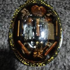 九尾の狐！高級専門店購入されたようです。の画像