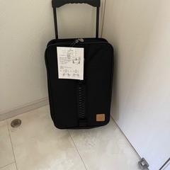ミッキーマウス　キャリーバック　スーツケース