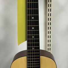 アコギ　アコースティックギター　ミニギター　STARGAZER　...