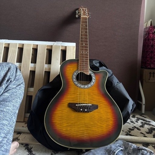 弦楽器、ギター pro martin SEA  350VS
