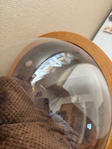 MYZOO マイズー 宇宙船ALPHA キャットハウス