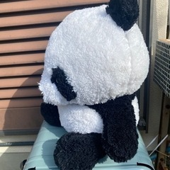 パンダのぬいぐるみの画像
