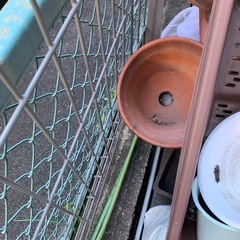 鉢
の画像
