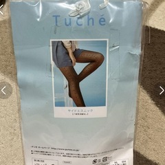 GUNZE Tuche グンゼ　トゥシェ　サイドエスニック　ヌードベージュの画像