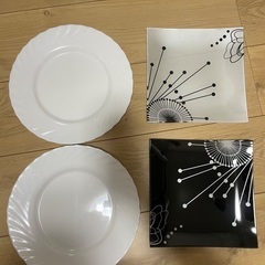 お皿　プレート