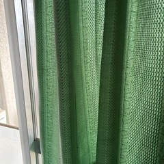 鮮やかな緑のカーテンの画像