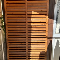 ラティス　カインズ購入