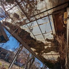 鉄骨を取り外してくださる方募集