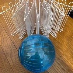 ハムスター飼育用品　ケースなどの画像