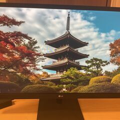 LG 27インチモニター 27EA430V-Bの画像