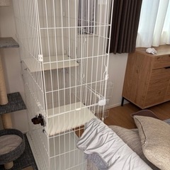 キャットゲージの画像