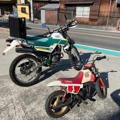 セロー225  PW50親子二台セット　 
の画像