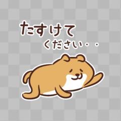 急募🆘自転車2ヶ月貸してください！