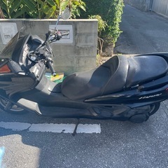 【本日限定価格】綺麗なマジェスティーの画像