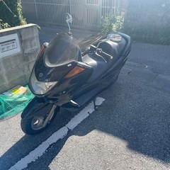 【本日限定価格】綺麗なマジェスティーの画像