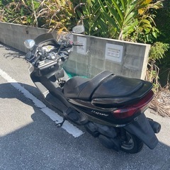 【本日限定価格】綺麗なマジェスティー