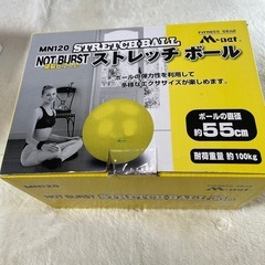 バランスボール、決まりました