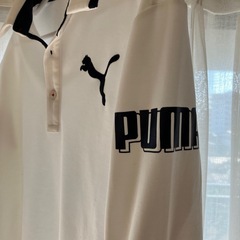 メンズゴルフウェアの画像