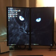 LG24インチ4Kモニター2台（24UD58) 