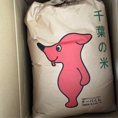 新米　北海道産 ふっくりんこ 27キロ