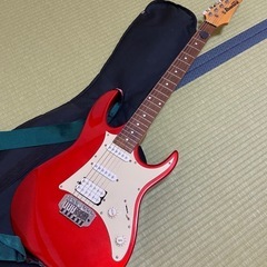エレキギター(お取引先決定しました)