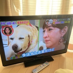Panasonic パナソニック VIERA ビエラ TH-L3...
