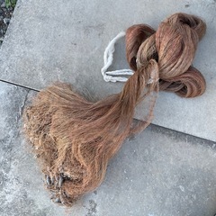 投網　