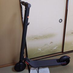 SEGWAY　ninebot  KickScooter　ES2