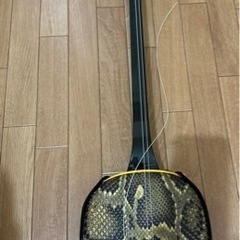 沖縄三線　ソフトケース付き　自宅保管品の画像