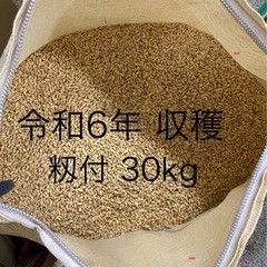 🌾令和6年収穫米🌾   籾つき  ❸ 1俵(30kg)    精...