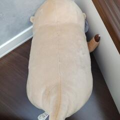 ラッコのぬいぐるみの画像