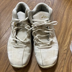 アシックス　バッシュ　25㎝