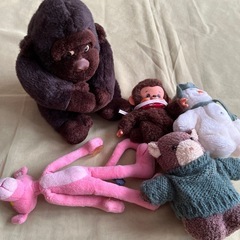 ぬいぐるみ🧸【モンチッチは決まりました】